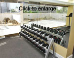 Picture of Wyndham Royal Garden Gym